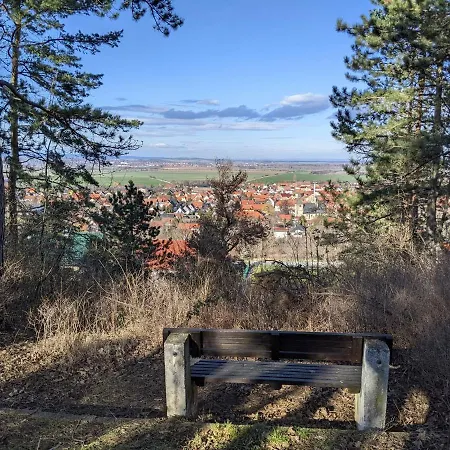 On The Mountain With Views *