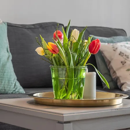 Casa de Férias Mit Sauna In *